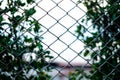 Net and garden background blur. green backdrop.